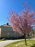 Partille Vandrarhem - Hostels