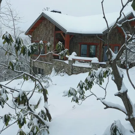 Luxury Mountain Cabin Near Asheville/Spectacular Views/Private Hiking Trails