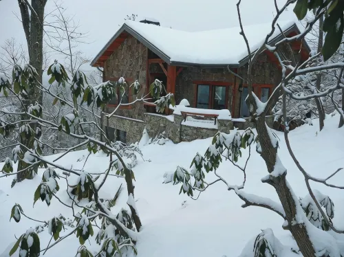 Luxury Mountain Cabin Near Asheville/Spectacular Views/Private Hiking Trails