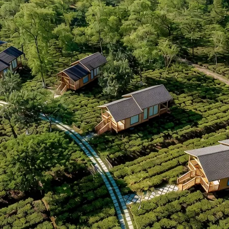 The Postcard in the Durrung Tea Estate
