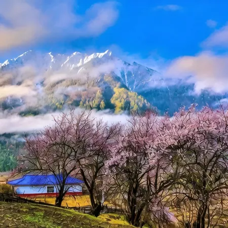 Bomi Yunsan Residence B&B (Gang Yunsan Forest Scenic Area Store)