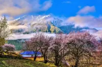 Bomi Yunsan Residence B&B (Gang Yunsan Forest Scenic Area Store)
