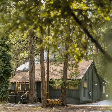 The Bunkhouse 1960's Camp Vibe + Timeless Wet Bar