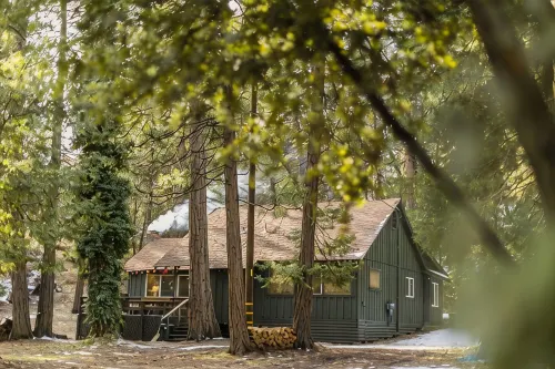 The Bunkhouse 1960's Camp Vibe + Timeless Wet Bar