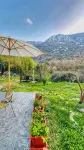 Apartment Marci - homestay
