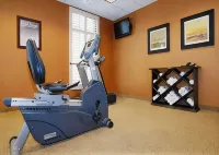 Holiday Inn BLOOMINGTON-UNIVERSITY AREA by IHG - gimnasio