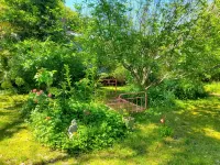 Beautiful beachside house and garden - 2 minutes from the beach! Hotels in Bermagui