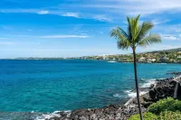 Super Clean~Ocean Front! Watch Whales & Dolphins While Having Your Coffee