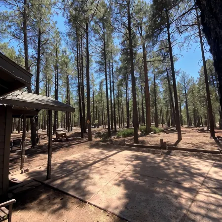 Secluded, Historic Wrigley Ranch Cabin- Pine Forest- 25 Acres Near Grand Canyon