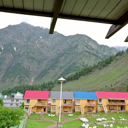 Hotel Village Inn Naran
