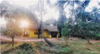 Little Yellow House • Insta: @little.yellow.house1943 -  case vacanza in affitto