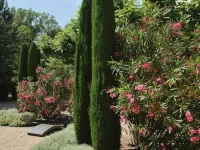 Mas Dagan, vacation apartments in Saint Remy to dream away on a romantic estate Hotels in Noves