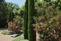 Mas Dagan, vacation apartments in Saint Remy to dream away on a romantic estate