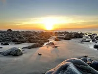 Cozy Cottage at the Beach near Yachats! Dog Friendly and Free EV Charging!
