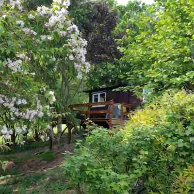 Rowan Tree Lodge with Hot Tub, a beautiful Woodland Retreat in Shropshire Hotel Exterior