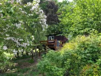 Rowan Tree Lodge with Hot Tub, a beautiful Woodland Retreat in Shropshire Hotels in Ludlow