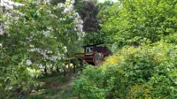 Rowan Tree Lodge with Hot Tub, a beautiful Woodland Retreat in Shropshire