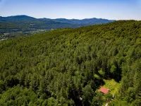 Cheerful Mountain Cottage