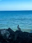 Seafront Sanctuary: Oceanfront Living 30 Feet from the Water at Going Coastal