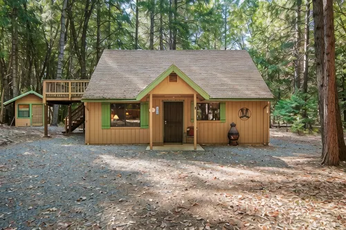 Cabin in the Woods