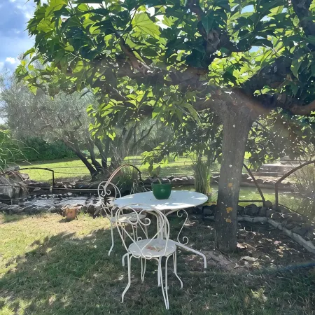 Villa Christine with Pool and Jacuzzi - 8 Pers.