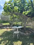 Villa Christine with Pool and Jacuzzi - 8 Pers. - วิลล่า
