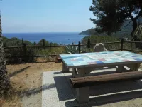 Elba Island villa on the sea with sandy beach surrounded by green park Arc.T - Apartments