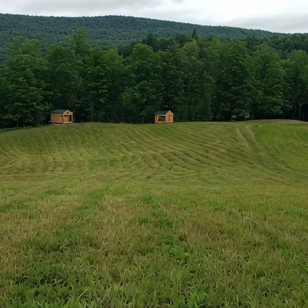 Black Creek's Maple Nature Escape