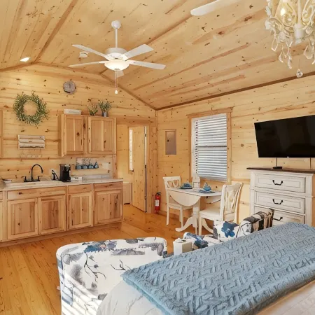 Fancy Cabin Right on Main St!