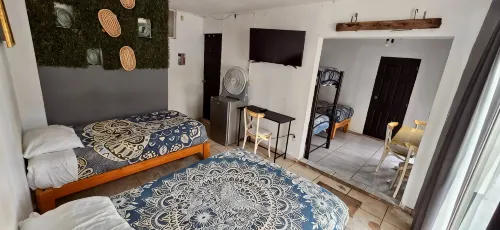 Mini Hotel San Luis Potosí - Pet friendly