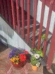 Mountain Vista Penthouse Huge 2BR w/views+jet tub - balcony