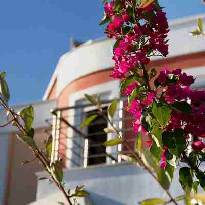 Heliotrope Hotels Hotel Exterior