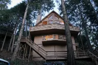 Lake cabin w/ big pines close to lake and village - 3-نجوم