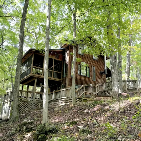 Entire cabin in Lost City, West Virginia