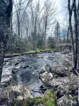 Blue Cabin by the Brook in Surry close to Acadia National Park and Bar Harbor - Alphydda