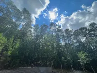 Spacious Home with Peaceful Wooded Backyard - 4-Star