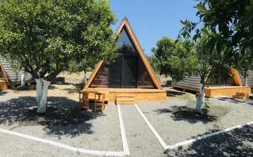 Limon Datca - Homestays