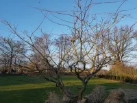 Apartment Auszeit in Seevetal,close to town,quiet,garden,WLAN,up to 2 persons Hotels in Seevetal