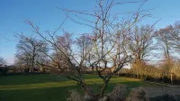 Apartment Auszeit in Seevetal,close to town,quiet,garden,WLAN,up to 2 persons - 民宿