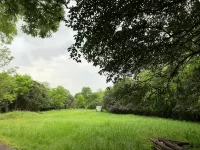 Private Respite Breathe Deeply Cabin with Garden, SwimSpa/Hot Tub, Fire Pit - Private Pools