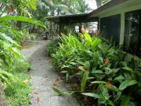 Beachfront Jungle Casita  Surf, Sunsets & Privacy   20 Steps to Ocean Hotels in Dominical