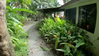 Beachfront Jungle Casita  Surf, Sunsets & Privacy   20 Steps to Ocean - Wi-Fi