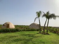 Yourtes Insolites et Entièrement Écologiques Avec Piscine - Apartments