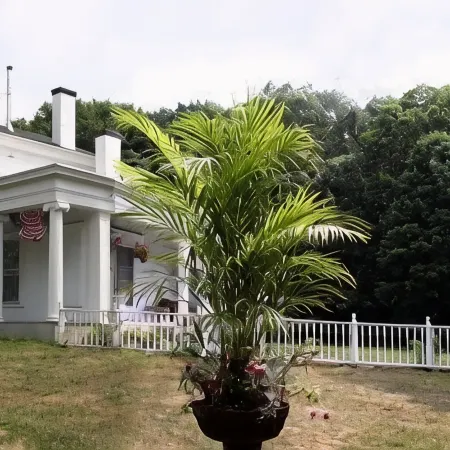 House of 1833 Bed and Breakfast