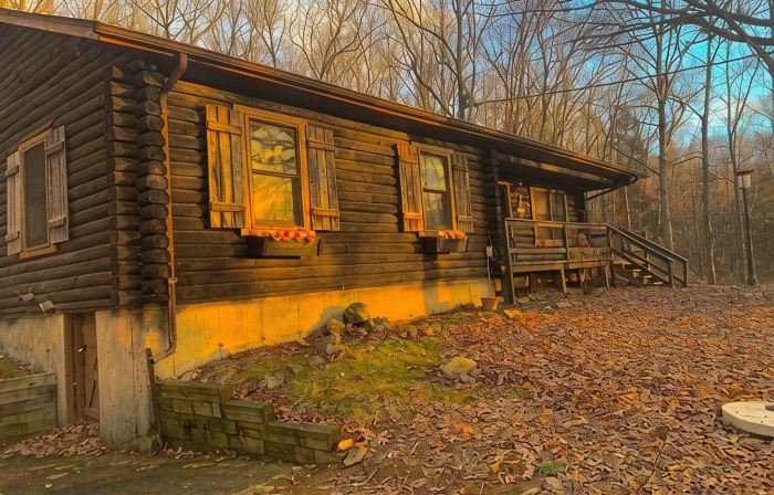 Lake Road Log Cabin A — Million Dollar Ozark view!
