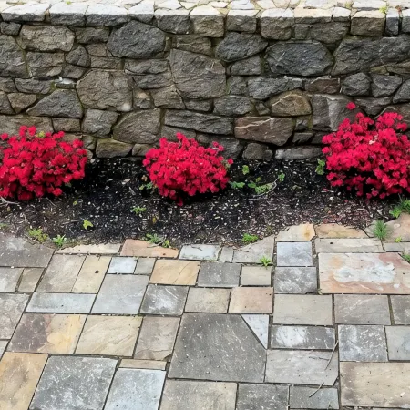 Blue Magnolia - A quiet apartment in a quaint Gloucester MA village