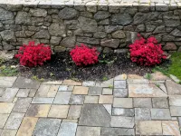 Blue Magnolia - A quiet apartment in a quaint Gloucester MA village - Apartments