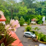 Hotel del Llano - parking