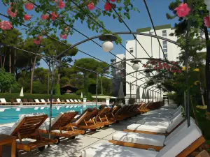 Hotel Greif
