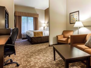 Comfort Suites at Kennesaw State University